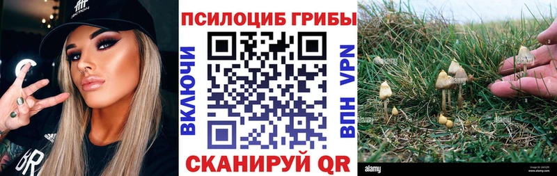 Галлюциногенные грибы Psilocybe Аркадак