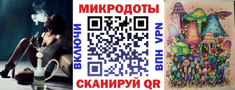 как найти наркотики  Аркадак  Псилоцибиновые грибы Psilocybe 